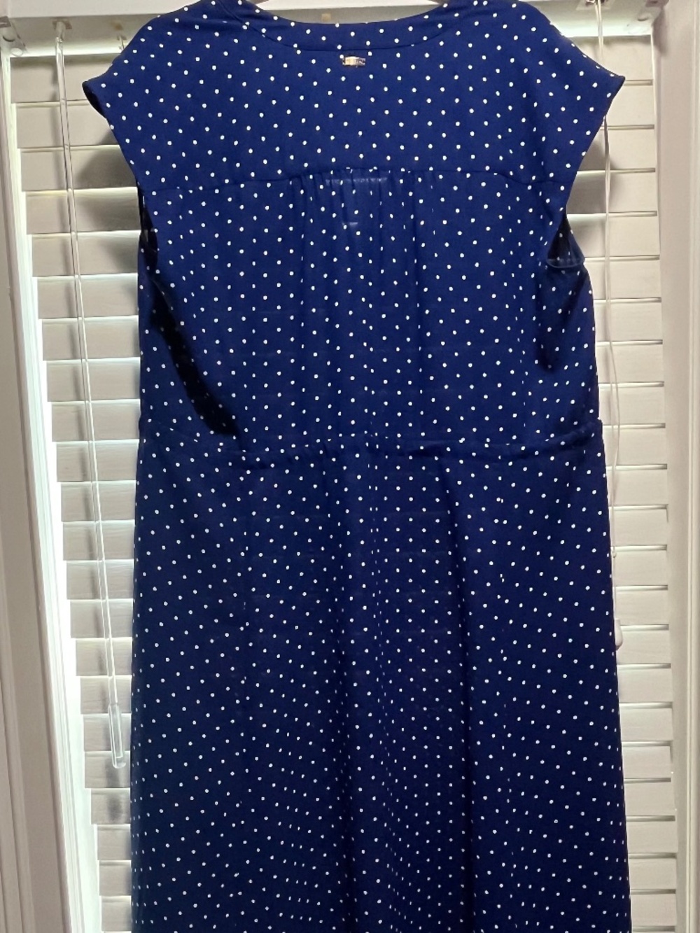 Anne Klein Blue Polka Dot Dress